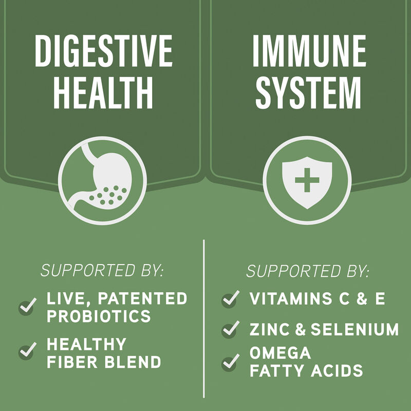 Natural Balance, Specialized Nutrition - Digestive & Immune Health Lamb & Oatmeal Formula - Dry Dog image number null