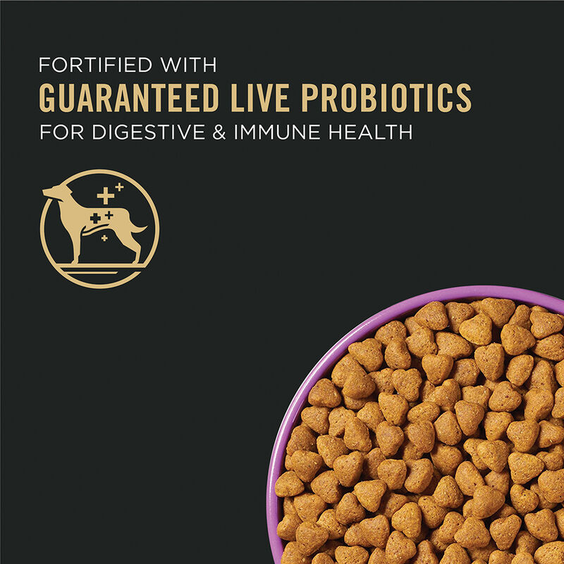 Purina Pro Plan Sport Active 27/17, All Ages, Chicken & Rice Dry Dog Food 17kg image number null