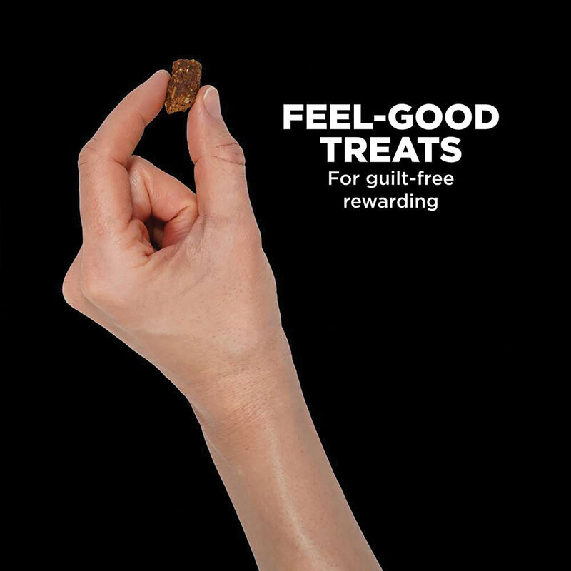 Go! Solutions,Benefit Chews - Digestion + Gut Health Salmon Dog Treats - 170 g image number null