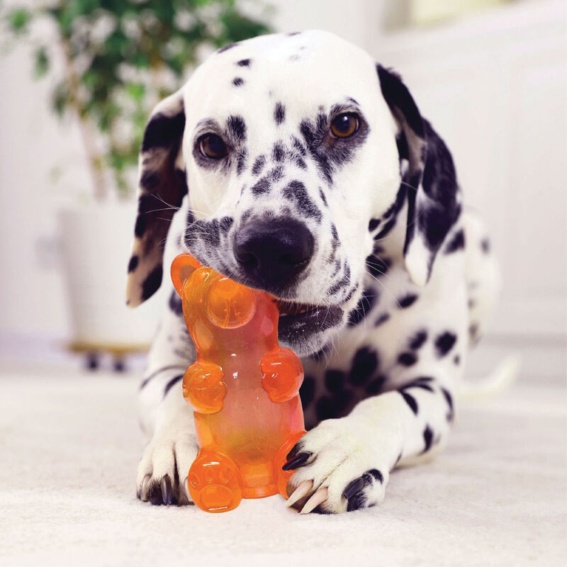Spunky Pup, Spunky Bear - Squeaky Toy image number null