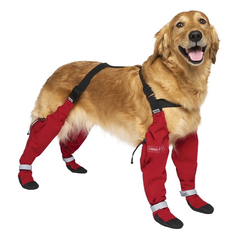 Canada Pooch, Suspender Boots - Red - Long image number null