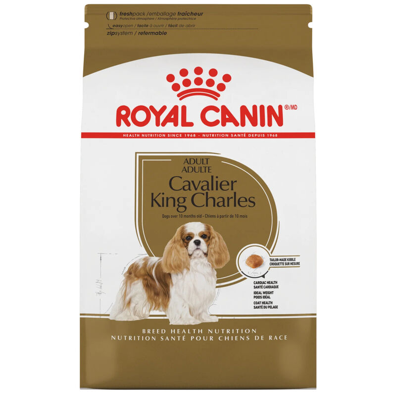 Royal Canin, Breed Health Nutrition - Cavalier King Charles - Dry Dog Food image number null