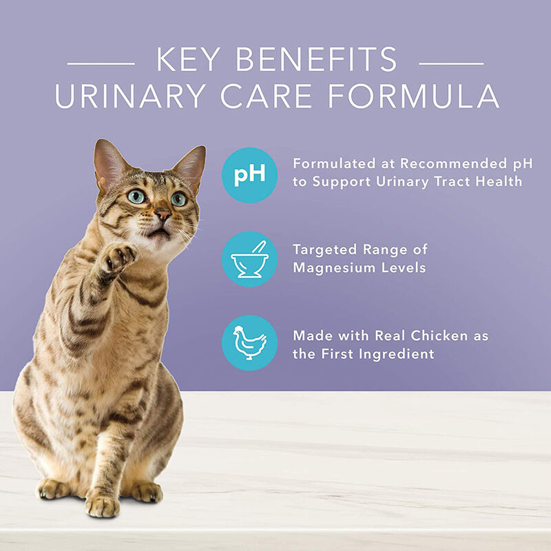 Blue Buffalo, Feline Adult - True Solutions - Urinary Care - Chicken - Dry Cat Food image number null