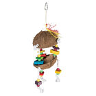 Featherland Paradise, Coconut Hutch image number null