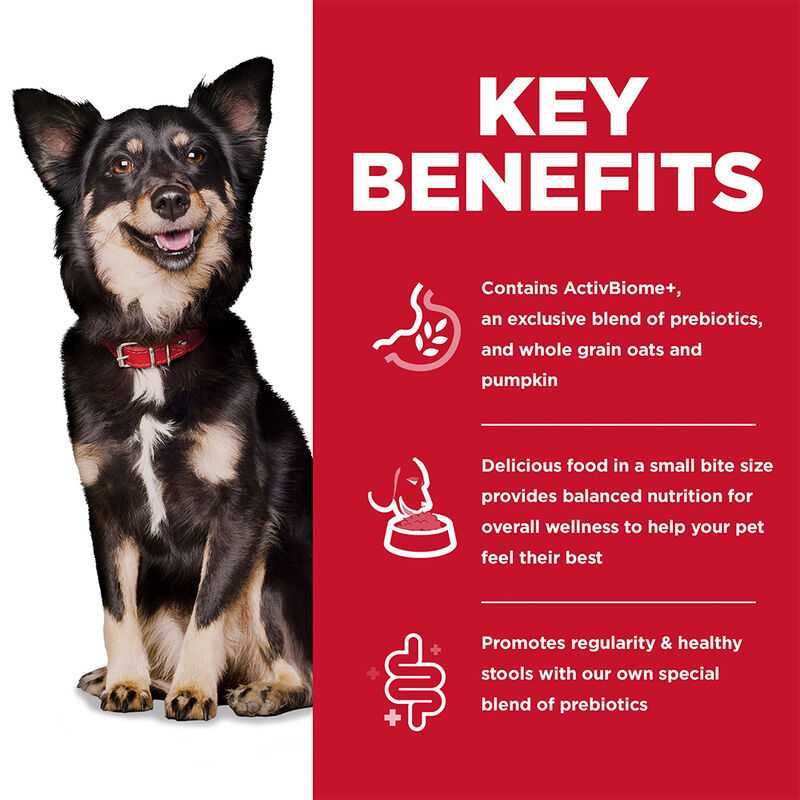 Science Diet, Adult Small Bites - Perfect Digestion - Chicken - 1.58 kg - Dry Dog Food image number null