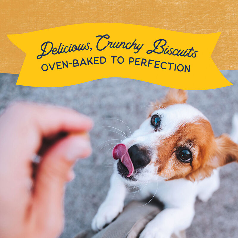 Natural Balance, Limited Ingredient Dog Treats Small Breed, Potato & Duck - Dog Biscuit image number null