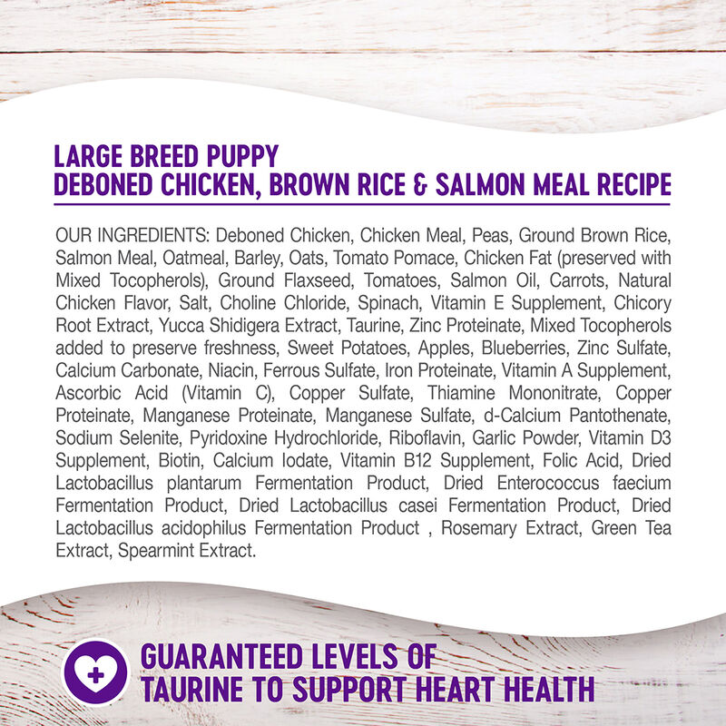 Wellness, Puppy Large Breed - Chicken, Salmon & Brown Rice - 13.6kg - Dry Dog Food image number null
