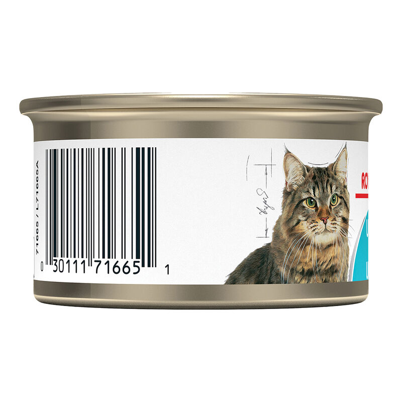 Royal Canin, Feline Care Nutrition Urinary Care - Wet Cat Food image number null