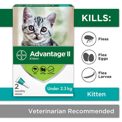 Advantage II, Kitten - <2.3 kg