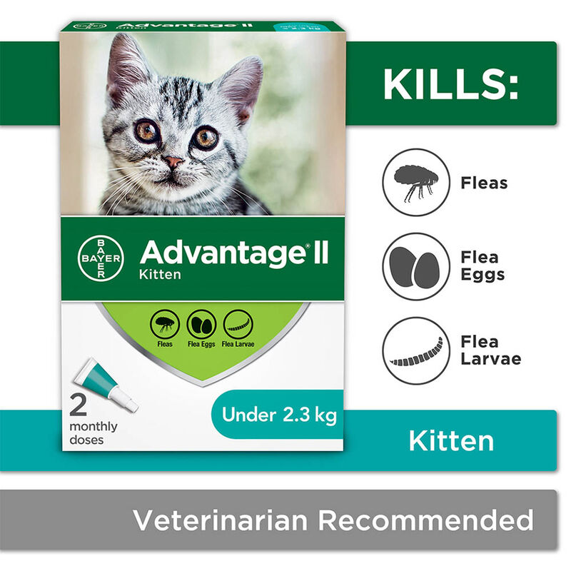Advantage II, Kitten - <2.3 kg image number null