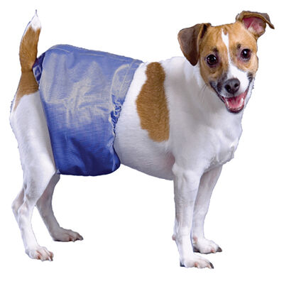 Pooch Pad, PoochPants - Male Wrap - Small - 12 - 15"