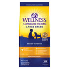 Wellness, Puppy Large Breed - Complete Health - Chicken, Salmon & Brown Rice - 13.6kg - Dry Dog Food image number null