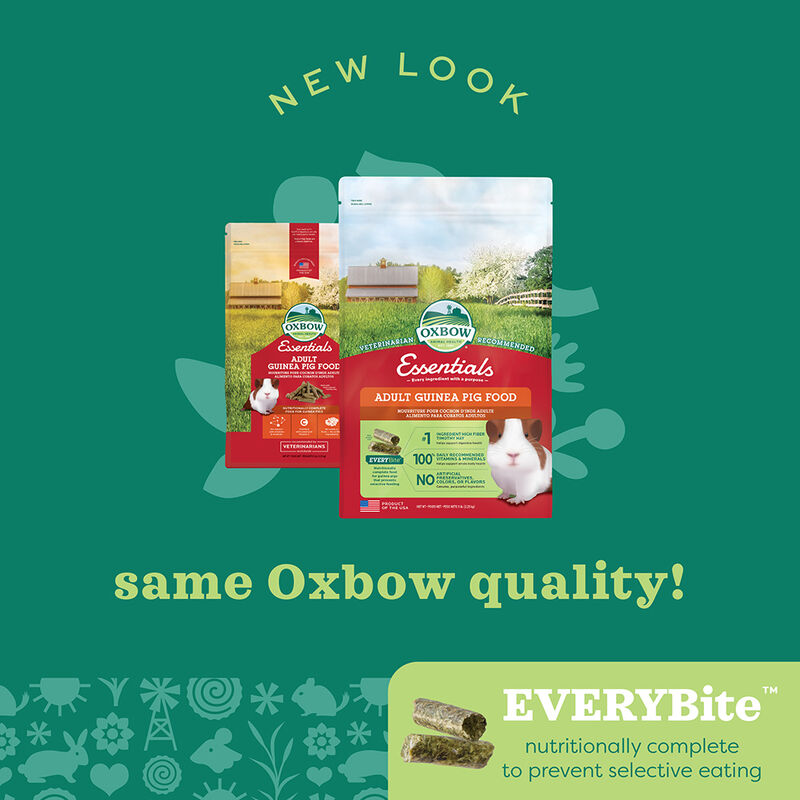 Oxbow, Essentials, Adult Guinea Pig image number null