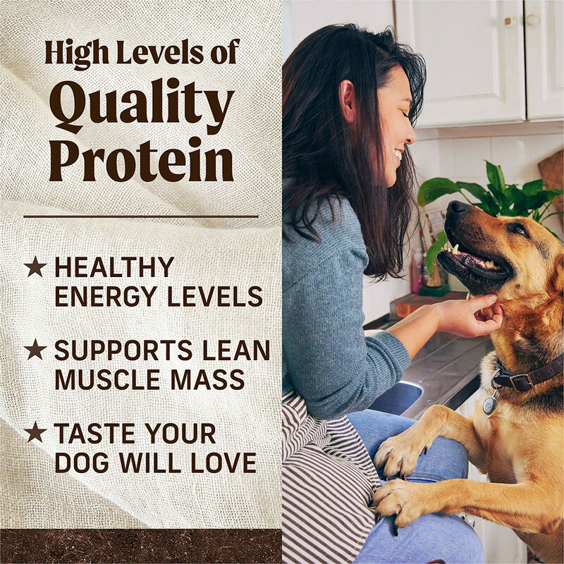 Merrick, Grain Free Salmon & Sweet Potato - Dry Dog Food image number null
