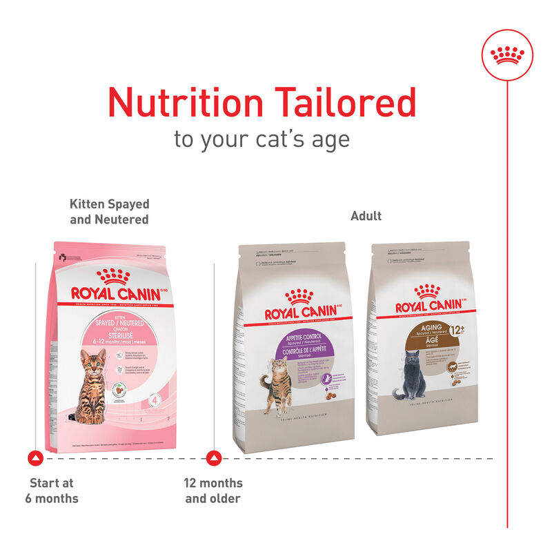 Royal Canin, Feline Health Nutrition Kitten Spayed / Neutered - Dry Cat Food image number null