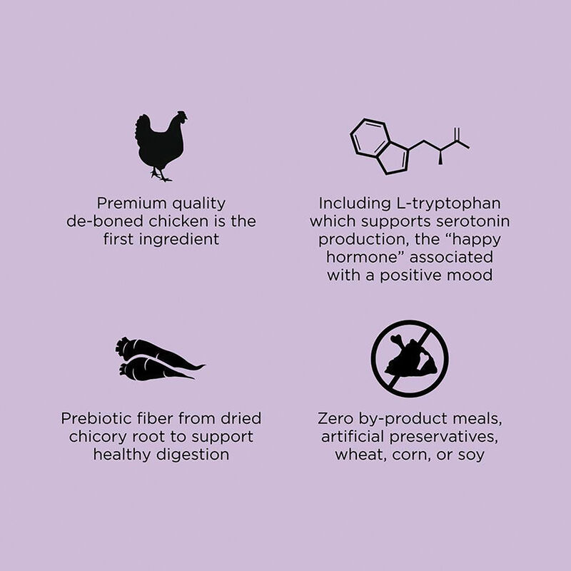 GO! SOLUTIONS,  Feline Adult - Hairball Control & Urinary Care - Chicken with Grains - Dry Cat Food image number null