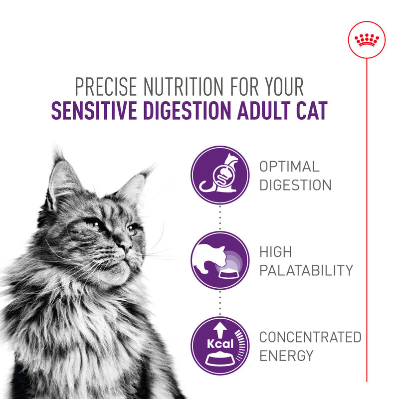 Royal Canin, Feline Health Nutrition Sensitive Digestion Dry Adult - Dry Cat Food image number null