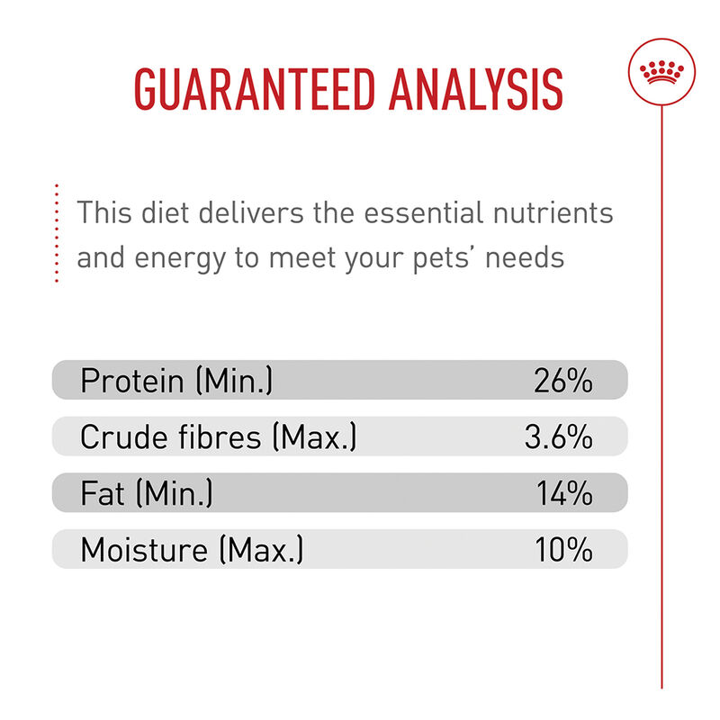 Royal Canin, Breed Health Nutrition Chihuahua Adult - Dry Dog Food image number null