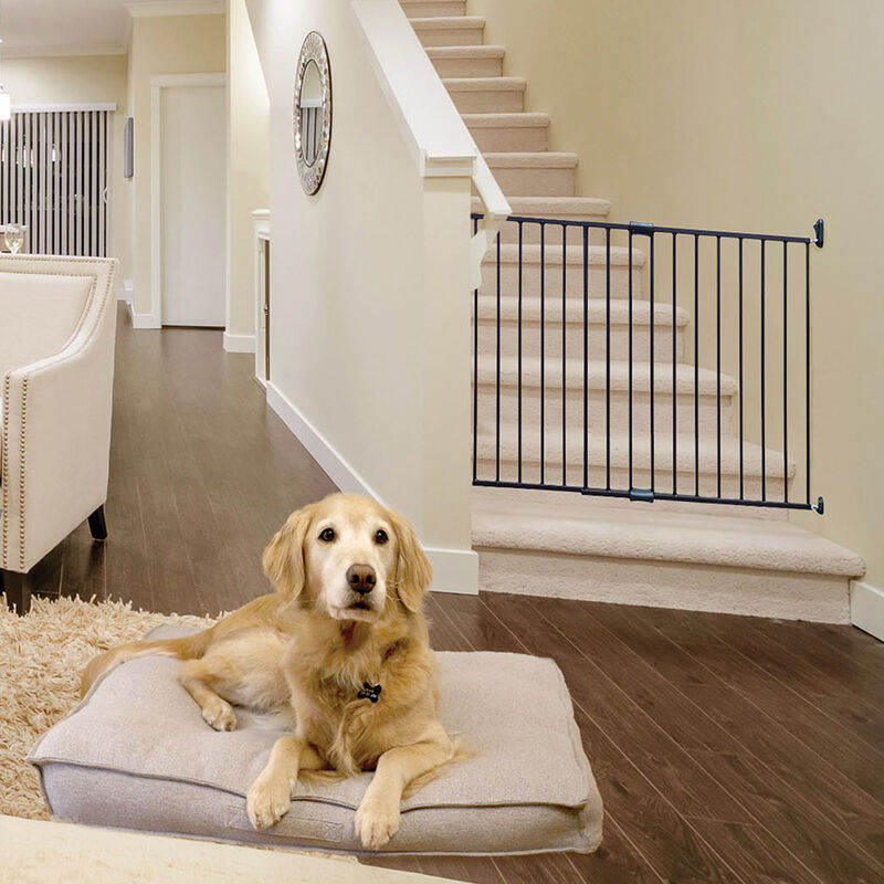 Finn & Winston, Expandable Metal Gate - Bronze image number null