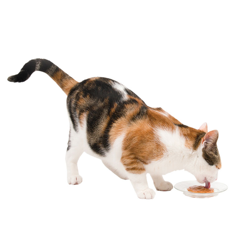Catit, Creamy Treats - Tuna - 15 g - 5 pk image number null
