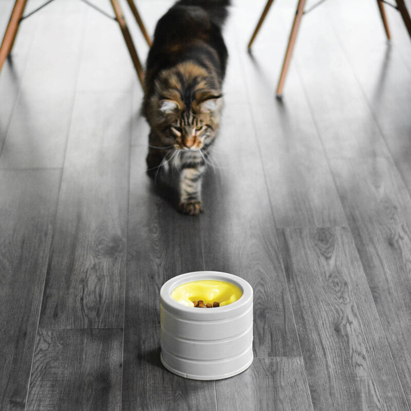 BeOneBreed, IntelliKatt - Interactive Cat Bowl - Cat Bowl image number null