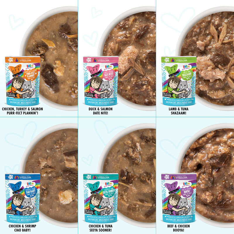 Weruva, Pouch, Feline Adult - Potluck Variety 12pk - 80 g - Minced  - Wet Cat Food image number null