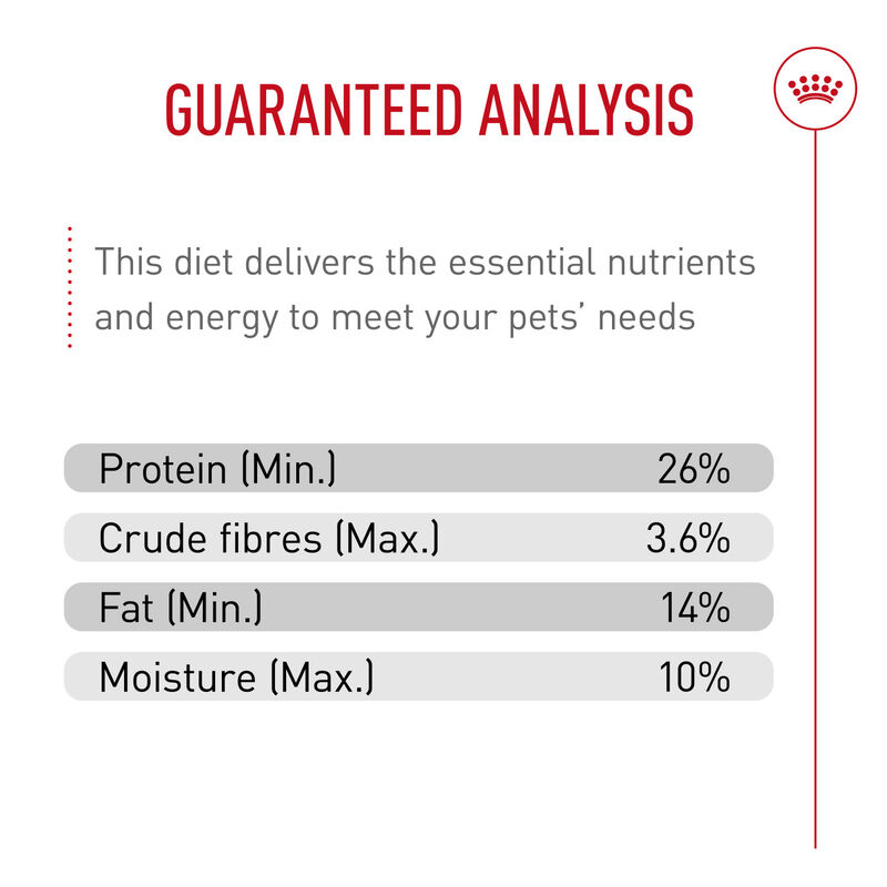 Royal Canin, Breed Health Nutrition Chihuahua Adult - Dry Dog Food image number null