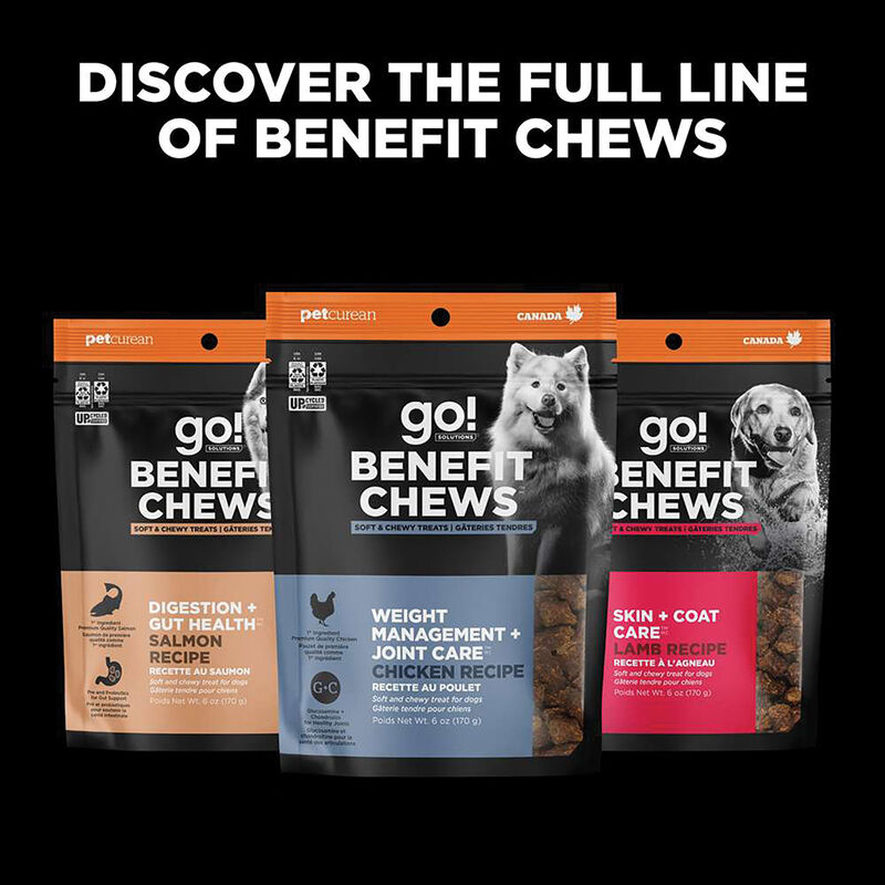 Go! Solutions,Benefit Chews - Sensitivities Limited Ingredient Salmon Dog Treats - 170 g image number null
