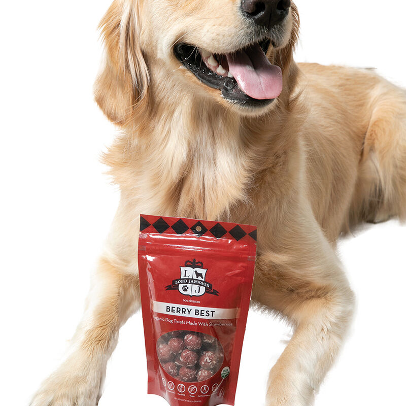 Lord Jameson, Berry Best Organic Dog Treats - 170 g Dog Treats image number null