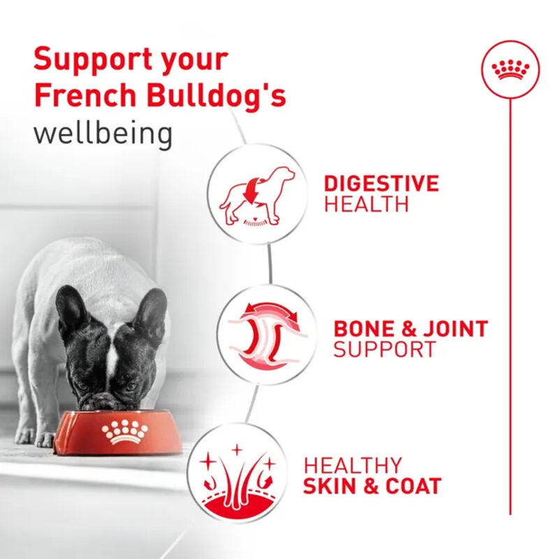 Royal Canin, Breed Health Nutrition - French Bulldog Loaf - Wet Dog Food image number null