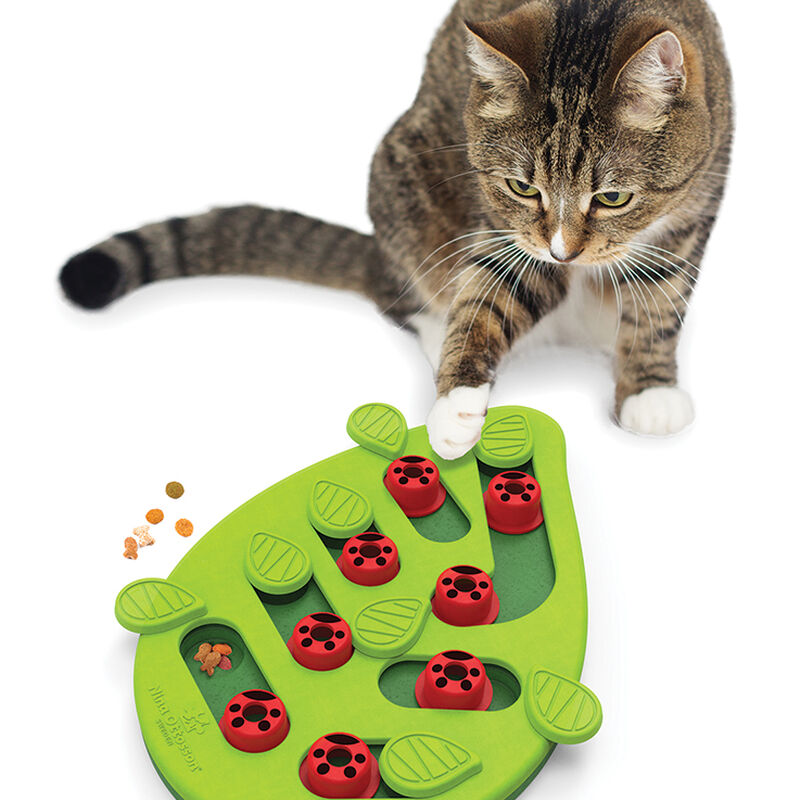 PetStages, Puzzle & Play Buggin Out - Green image number null