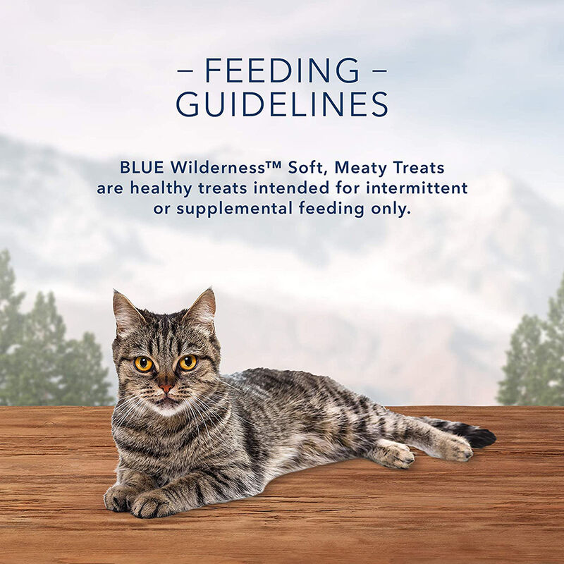 Blue Buffalo, Feline Treat - Wilderness - Chicken & Turkey - 56 g - Cat Treat image number null