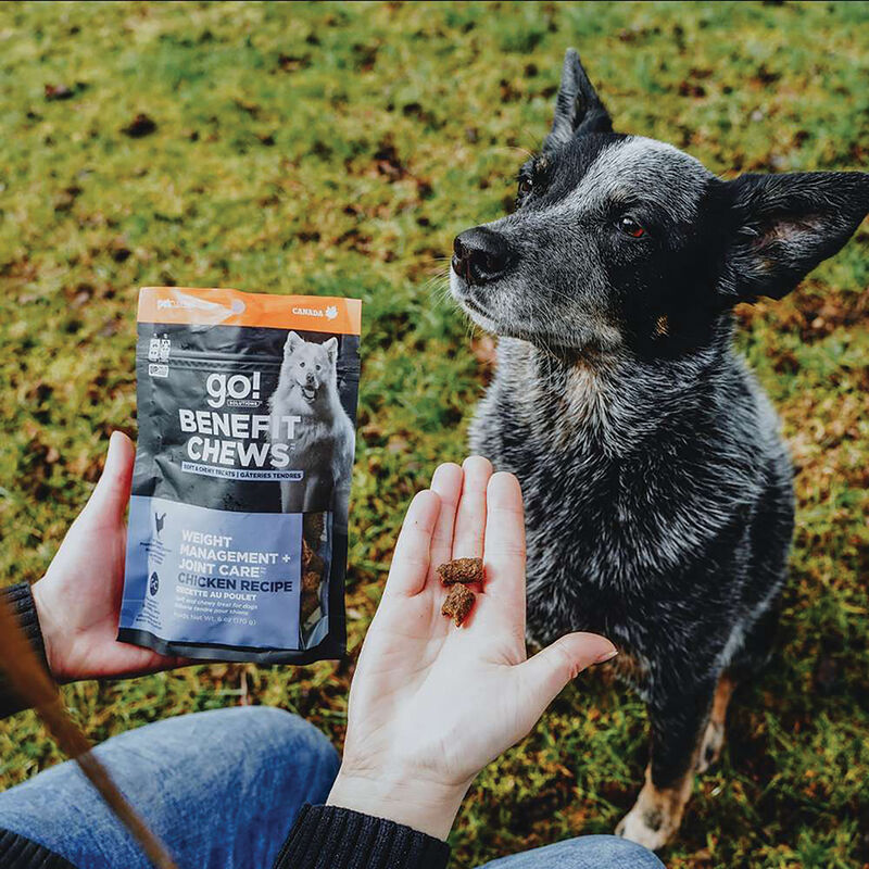 Go! Solutions,Benefit Chews - Weight Management + Joint Care Chicken Dog Treats - 170 g image number null