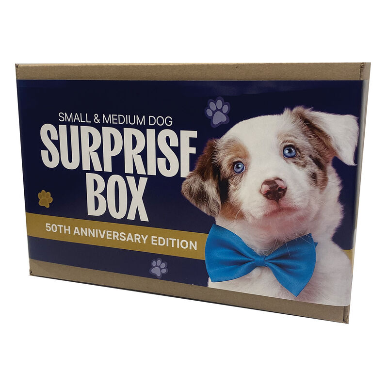 Surprise Box - Dog - Medium image number null
