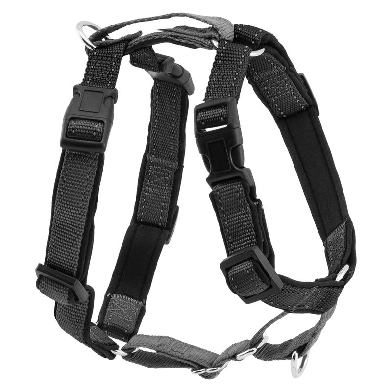 PetSafe, 3 In 1 Harness & Car Restraint- Black image number null