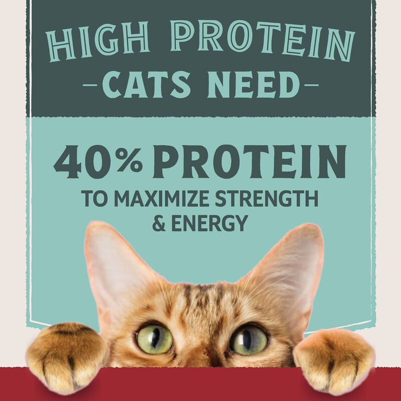 Natural Balance, Ultra Protein - Chicken & Chicken Meal Recipe - Dry Cat Food image number null