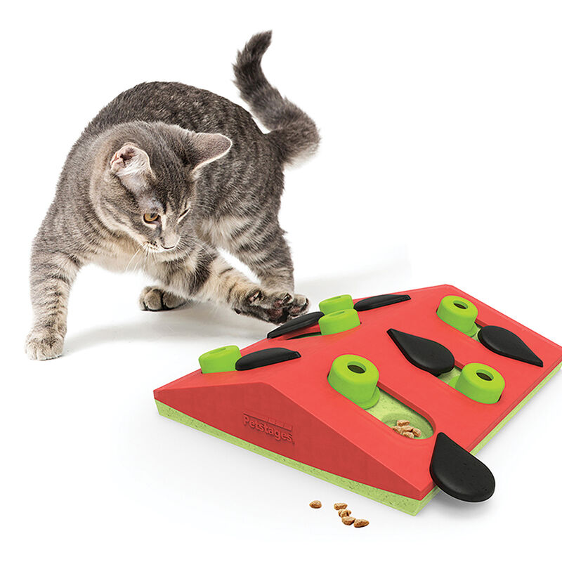 PetStages, Puzzle & Play Melon Madness - Pink image number null