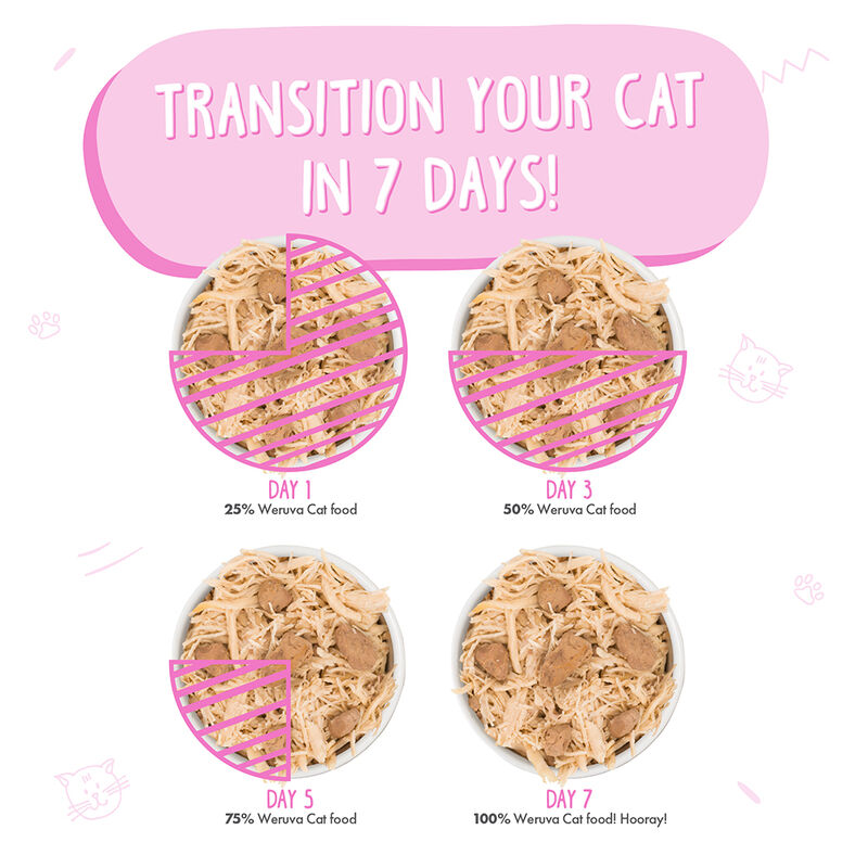 Weruva, Can Feline - Amazon Livin' - 156 g - Shreds - Wet Cat Food image number null
