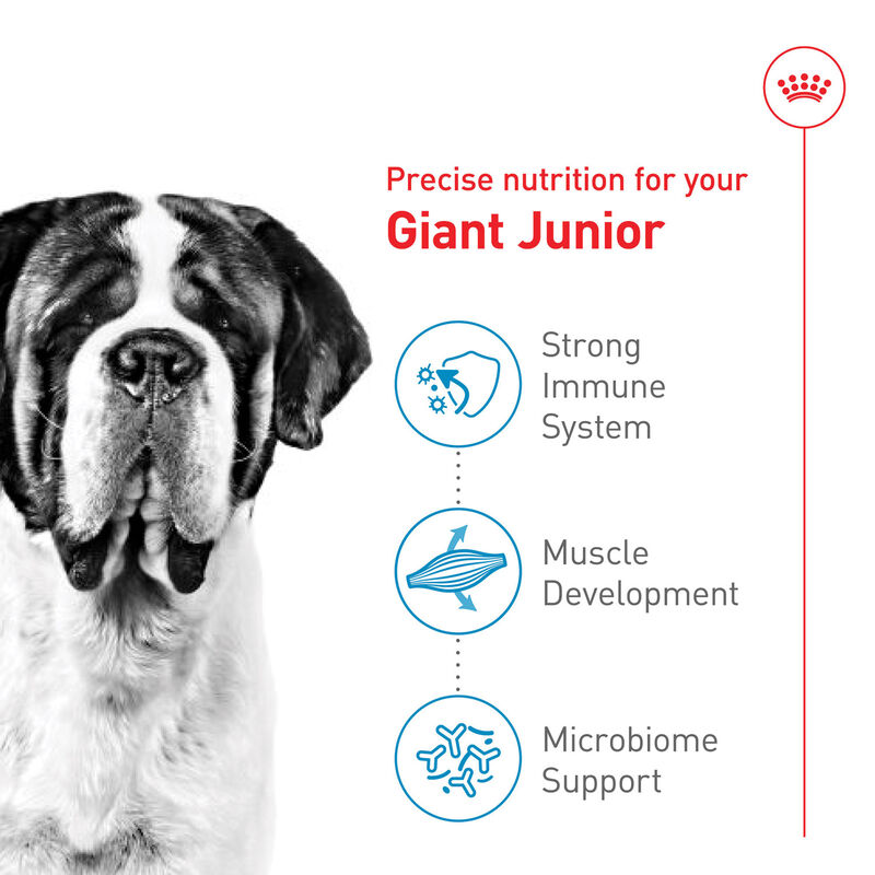 Royal Canin, Size Health Nutrition Giant Junior Dog Food - Dry Dog Food image number null