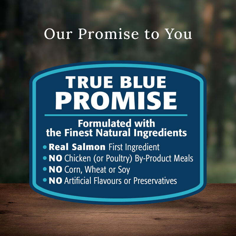 Blue Buffalo, Wilderness with More Meat & Wholesome Grains Adult Dog - Salmon - Dry Dog Food image number null