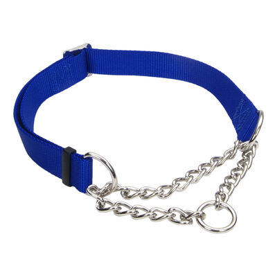 Coastal, Dog Collar - Core Training - Red