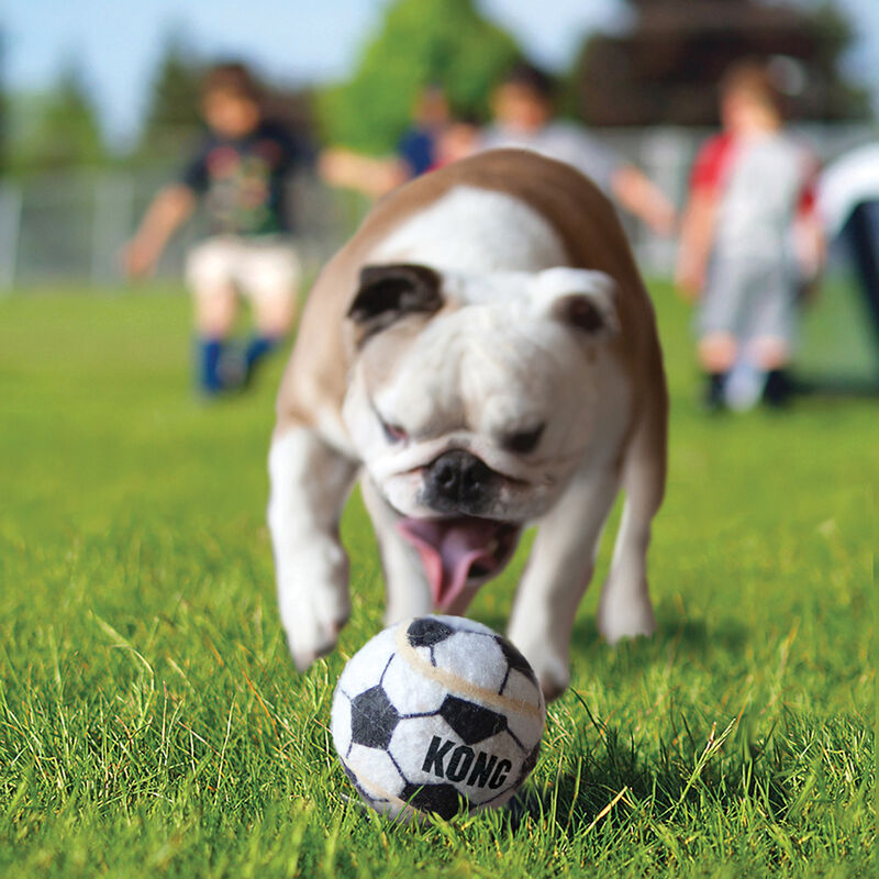 KONG, Sport Balls - Toss Dog Toy image number null