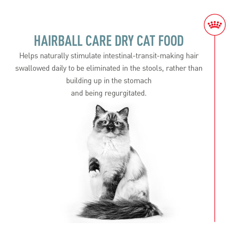 Royal Canin, Feline Care Nutrition Indoor Hairball Care - Dry Cat Food image number null