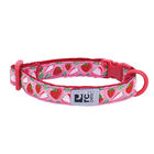 RC Pets, Primary - Kitty Breakaway Collar - Strawberries - Cat Collar image number null