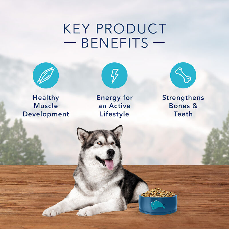 Blue Buffalo, Adult - GF Wilderness - Chicken - Dry Dog Food image number null