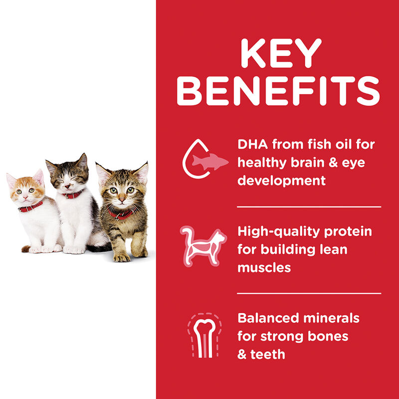 Science Diet, Kitten Chicken Recipe Dry Cat Food - Dry Cat Food image number null