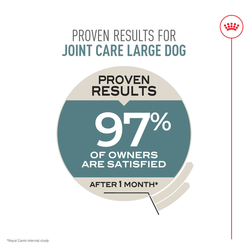 Royal Canin, Size Health Nutrition Large Joint Care - Dry Dog Food image number null