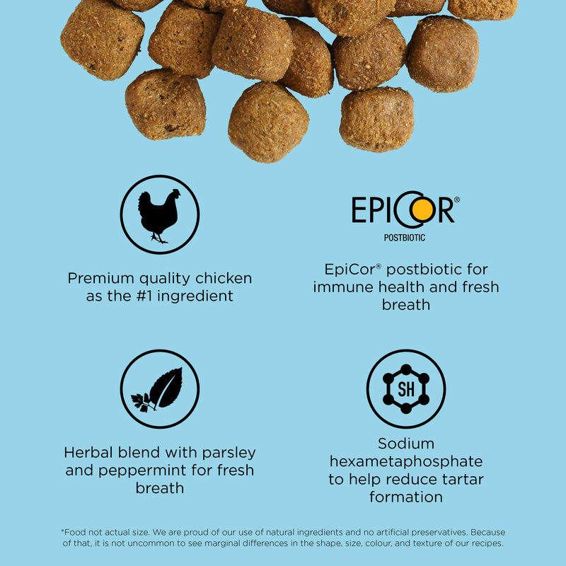 GO! SOLUTIONS, Dental & Immune Health Chicken & Salmon Recipe with Grains - Dry Dog Food image number null