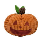 Zoom, Laughing Pumpkin image number null
