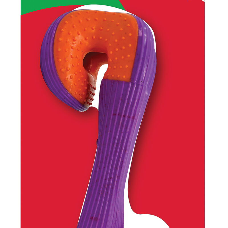 KONG, Rerun Whoosh Bone Assorted - Small/Medium - Interactive Dog Toy image number null